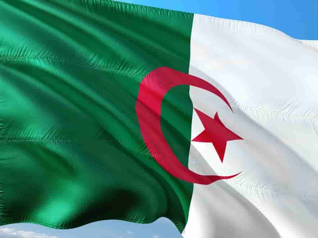 why-algerian-speak-french-profile