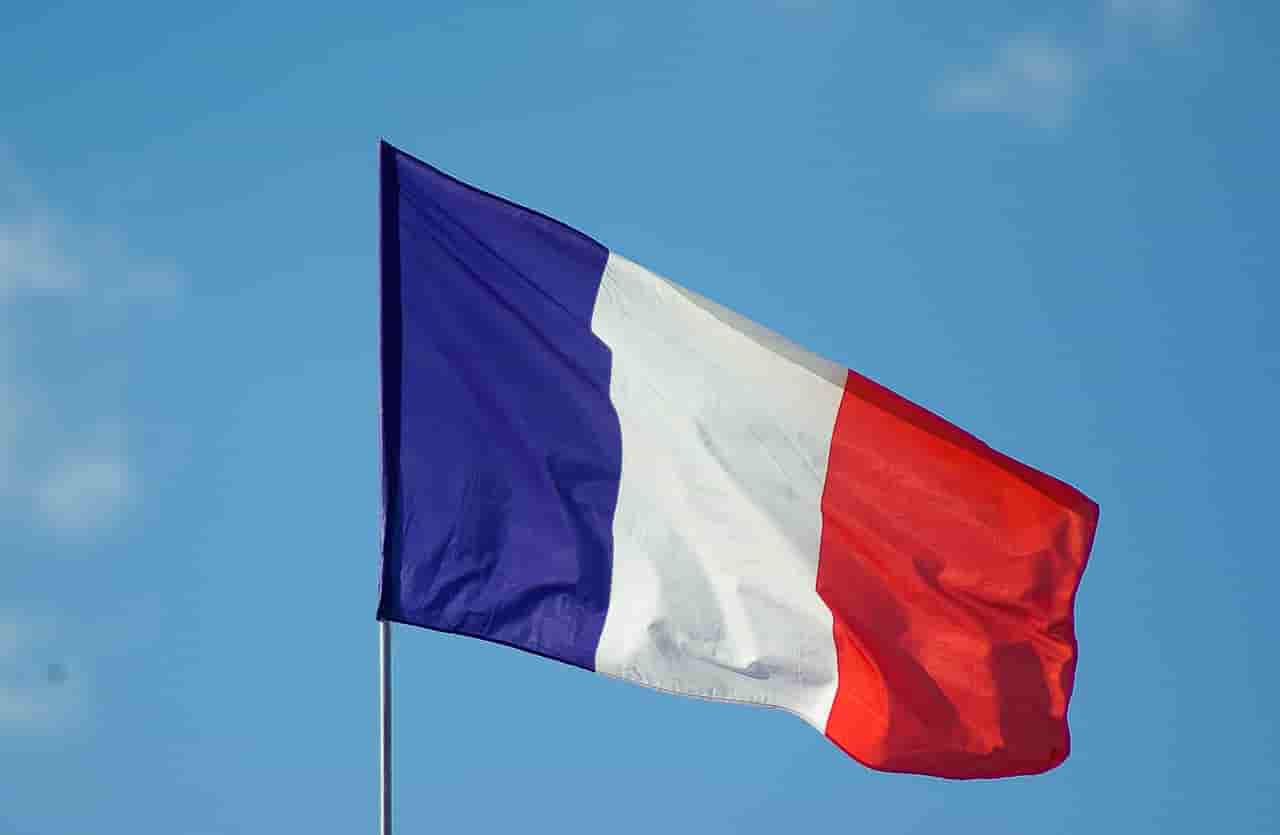 why algerian speak french profile